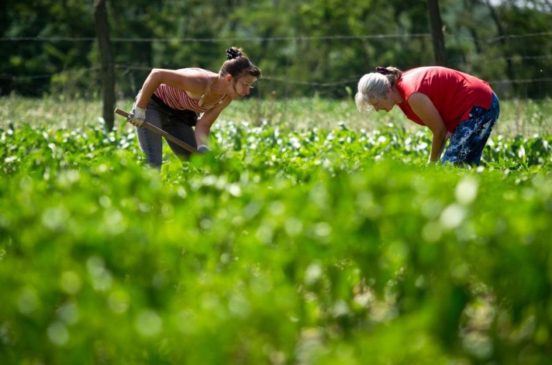 Nem zárul le az 1100 éves vita 1