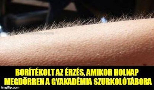 Így várják a szurkolók NB1-es rajtot 2