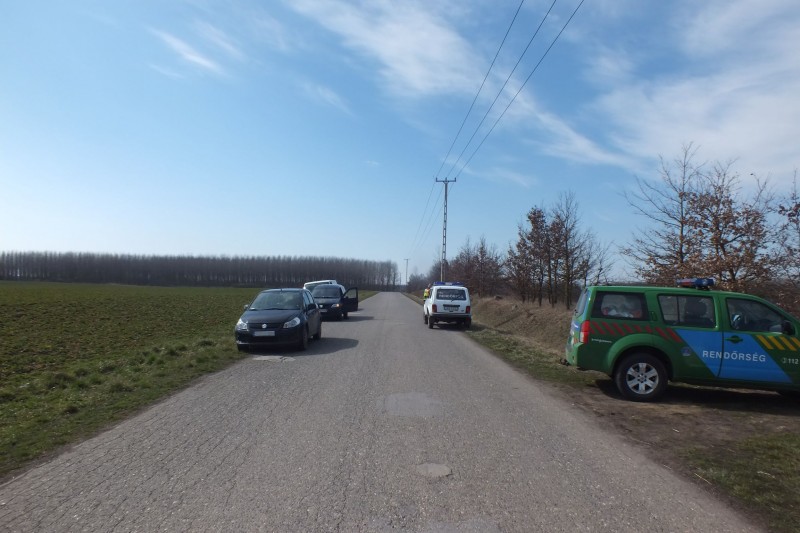 Csaknem harminc kutyát hagyott sorsára egy férfi Ibrányban 1