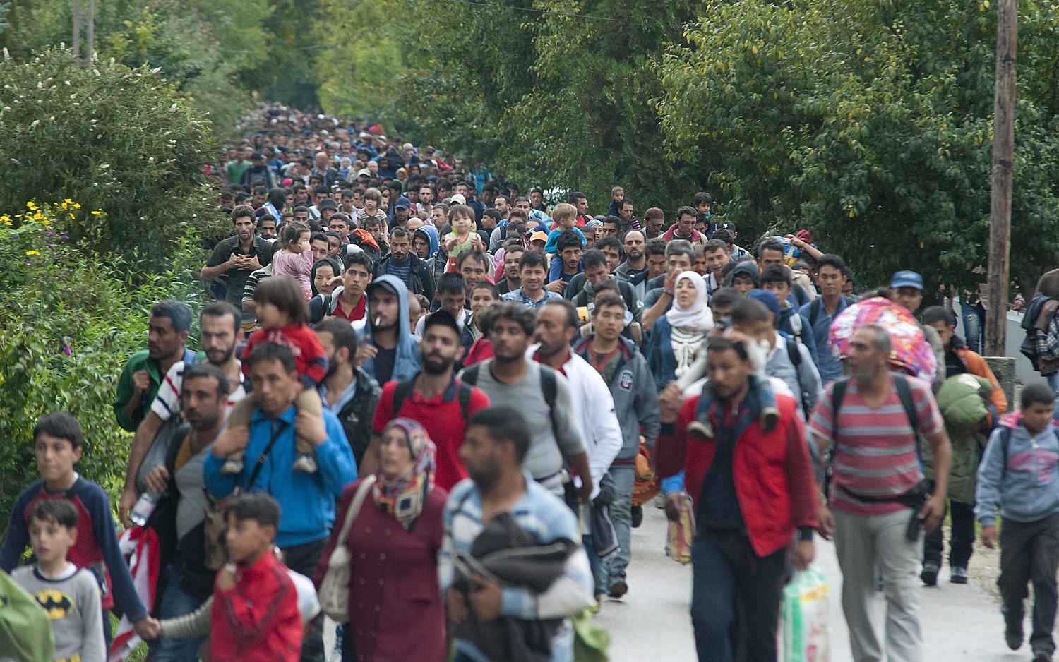 Illegális bevándorlás - Migránsok a magyar-osztrák határn?