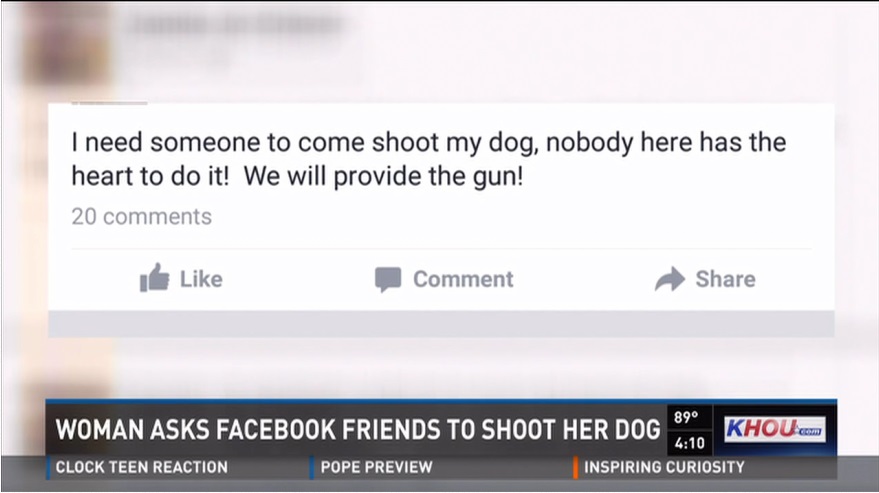 A Facebook-oldalán keresett valakit, aki megölné kutyáját (Fotó:KHOU)