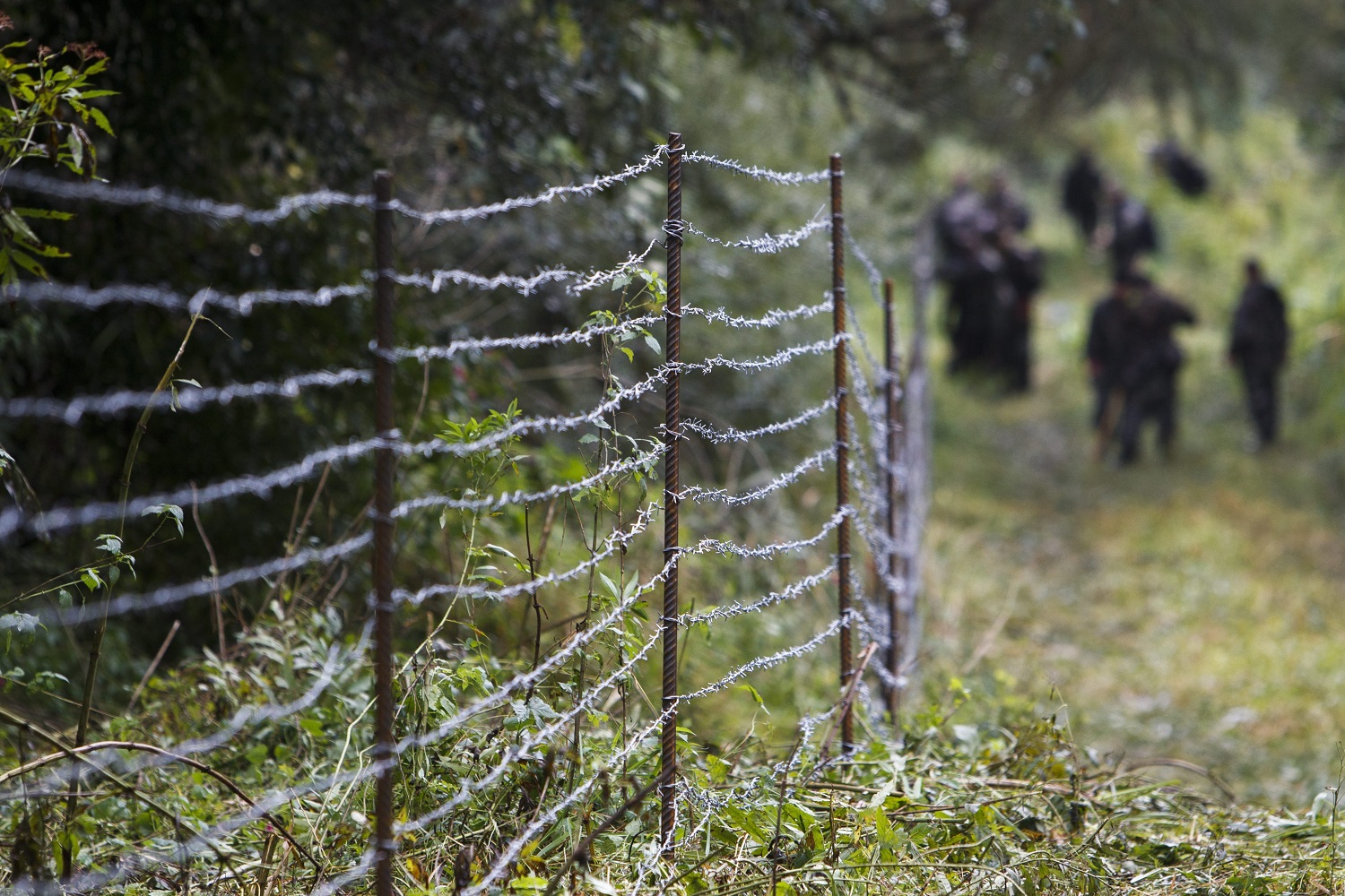 Zákány, 2015. szeptember 24. Katonák ideiglenes határzárat építenek a horvát-magyar határon, Zákány közelében 2015. szeptember 24-én. MTI Fotó: Varga György