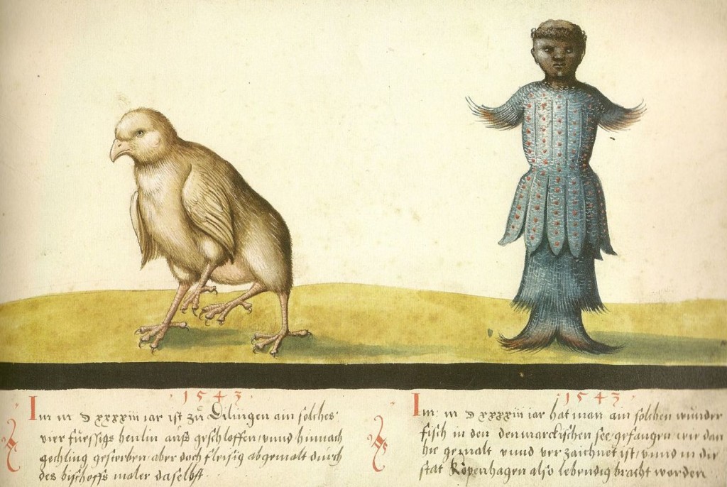 Augsburger_Wunderzeichenbuch_—_Folio_145-_Wundersames_Huhn_und_wundersamer_Fisch_1543
