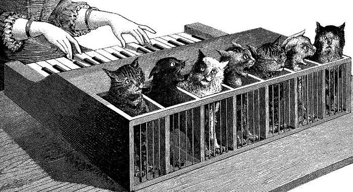 cat-organ-la-nature-1883-poyet1