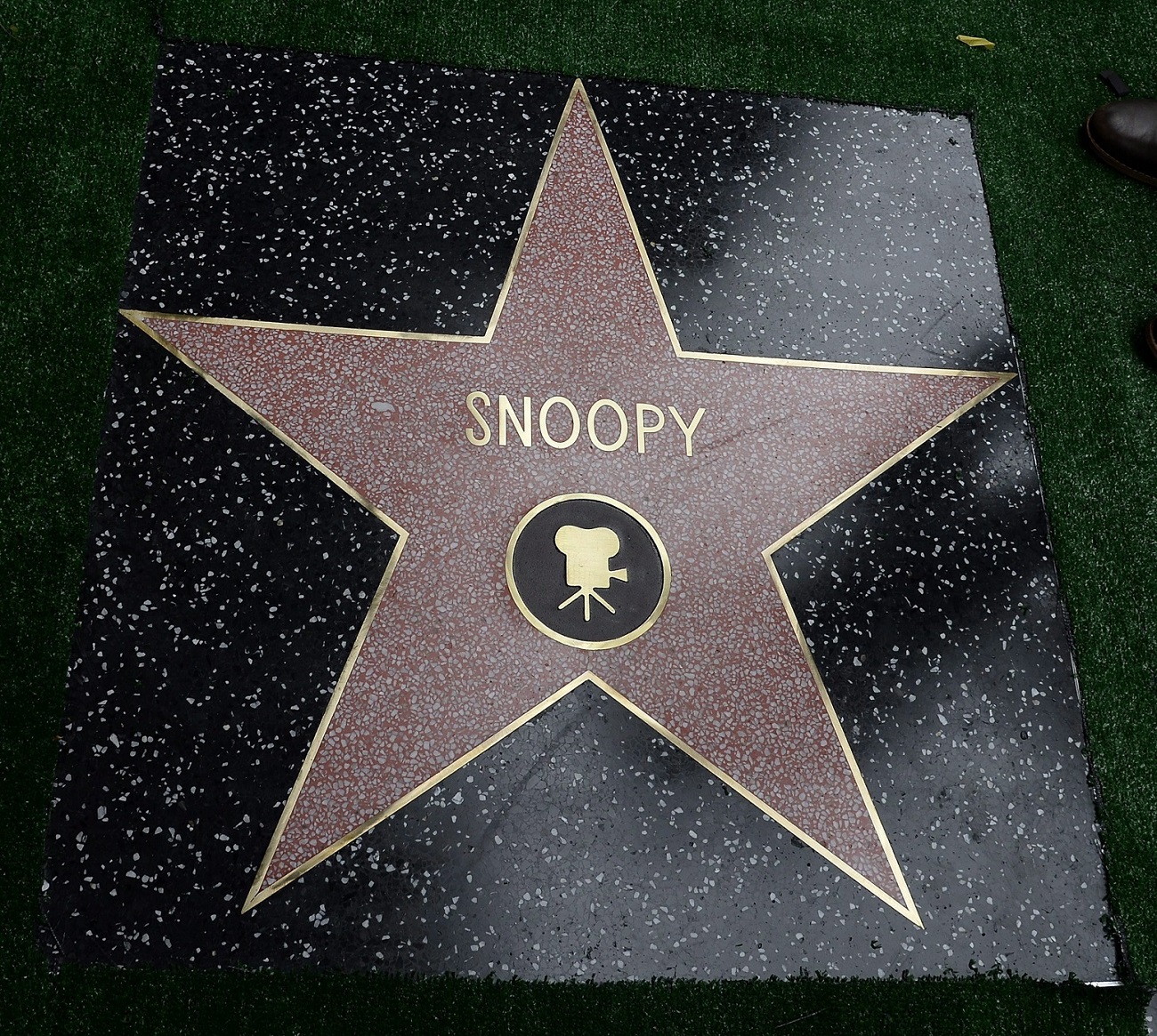 Snoopy csillaga a Hollywoodi hírességek sétányán