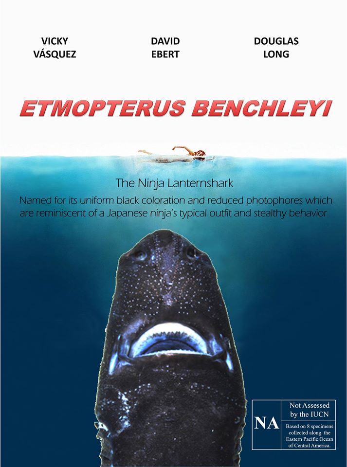 Etmopterus-benchleyi-film-poster