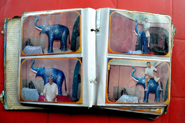catalogue_elephant