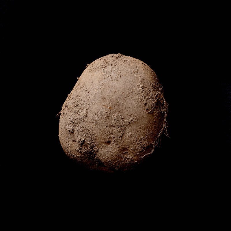 Potato #345 (2010). Fotó: Kevin Abosch