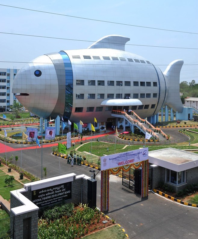 A general view shows the newly opened National Fisheries Development Board (NFDB) building, designed to resemble a fish, in Hyderabad on April 20, 2012. The National Fisheries Development Board (NFDB) functions as a coordinating mechanism between different fishery agencies and a platform for partnerships. AFP PHOTO/Noah SEELAM (Photo credit should read NOAH SEELAM/AFP/Getty Images)