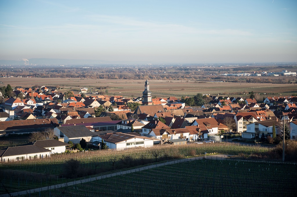 KALLSTADT, GERMANY - JANUARY 25: Generalview of Kallstadt, where Friedrich Trump, grandfather of U.S. presidential candidate Donald Trump, grew up pictured on January 25, 2016 in Kallstadt, Germany. Kallstadt is a village located in the wine-growing region of southwestern Germany and is the birthplace of Friedrich Trump, who at the age of 16 emigrated to the United States in 1885. There he eventually became a businessman, owning a hotel and several restaurants, and after his death his wife Elizabeth and son Fred (Donald Trump's father) expanded the business into a real estate enterprise called Elizabeth Trump and Son. Donald Trump took control of the company in 1971 and grew it into Trump Organization LLC. (Photo by Thomas Lohnes/Getty Images)