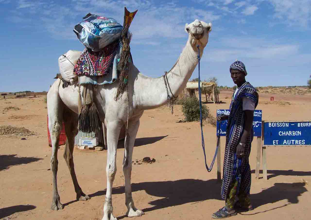 Man-with-Camel