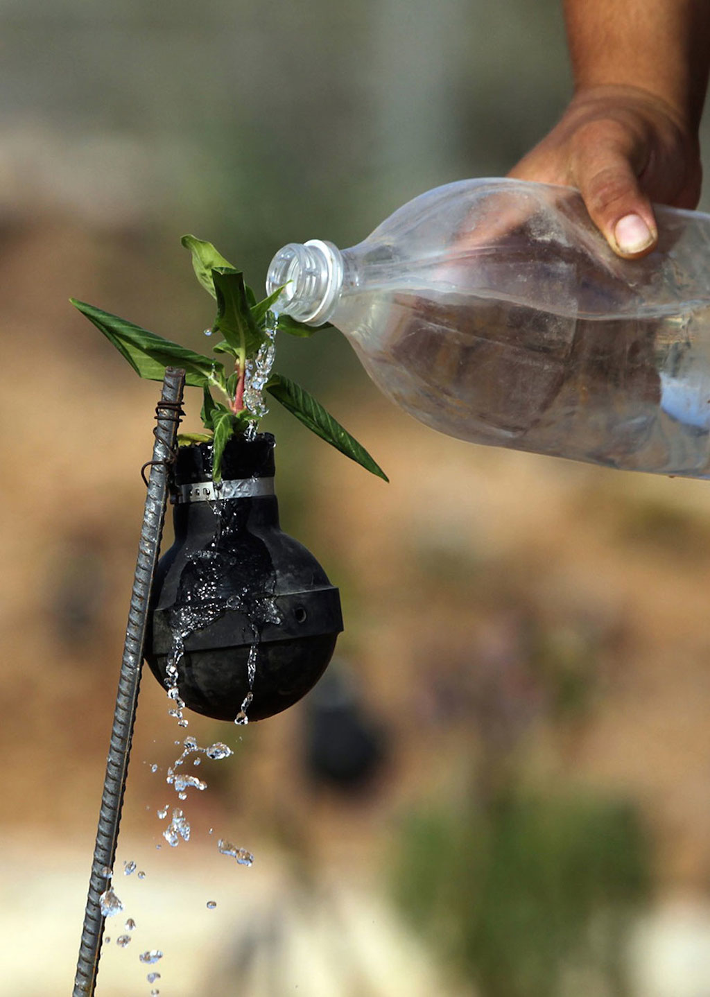 tear-gas-grenade-flower-pots-palestine-6