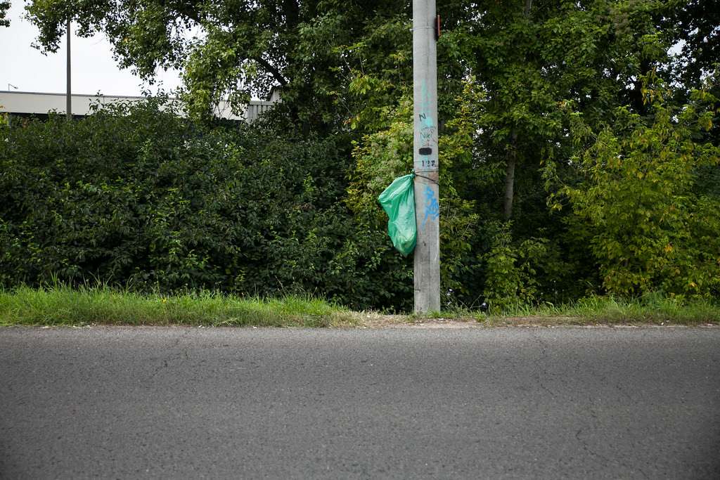 A lányok által kirakott szemetes a Dunakeszi úton | Fotó: Magócsi Márton