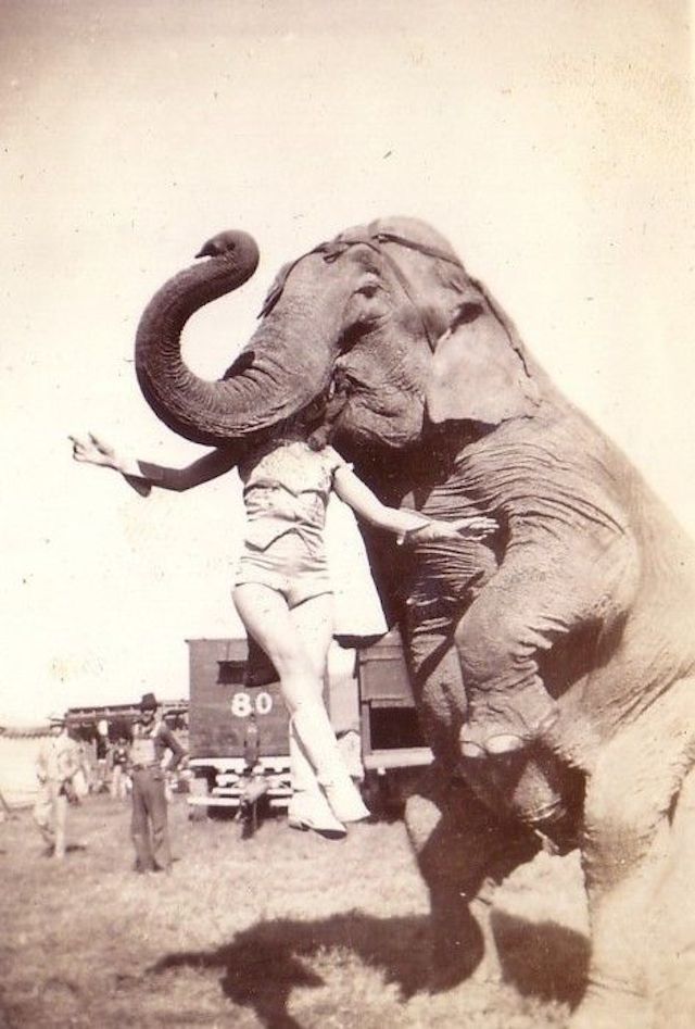 Vintage Photos of Scary Circus Performances (7)