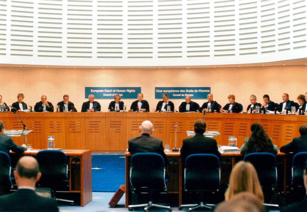 Az Emberi Jogok Európai Bíróságának bírói testülete: a botoknak köszönhetően kevesebb feladat hárulhat rájuk a 