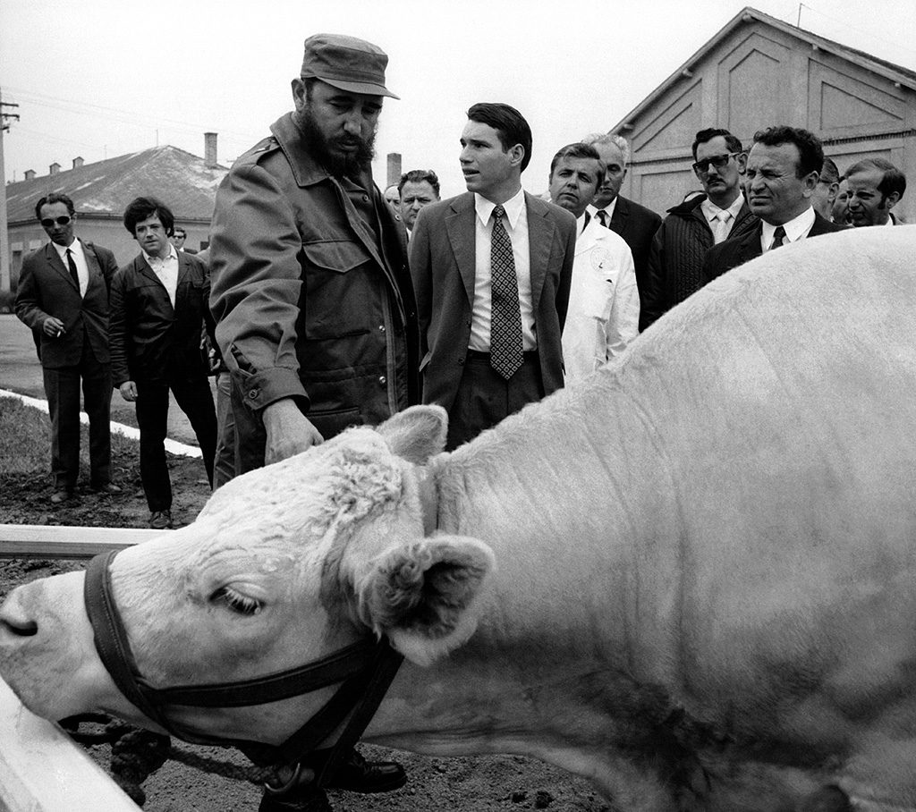 HONGRIE - 03 JUIN: Fidel Castro, invite officiel en Hongrie, visite une ferme de l'Institut de Recherche, le 3 juin 1972 en Hongrie. (Photo by Keystone-FranceGamma-Rapho via Getty Images)