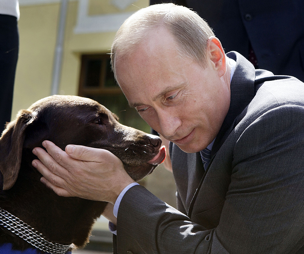 Russian Prime Minister Vladimir Putin pets Labrador Tonik during his meeeting with Russian rescue workers in the Novo-Ogaryovo residence outside Moscow, Friday, June 6, 2008. Tonik, legendary rescuer dog of the Emergency Situations Ministry, helped Russian emergency workers save victims of China's devastating earthquake. AFP PHOTO / POOL / ALEXANDER ZEMLIANICHENKO / AFP PHOTO / POOL / ALEXANDER ZEMLIANICHENKO
