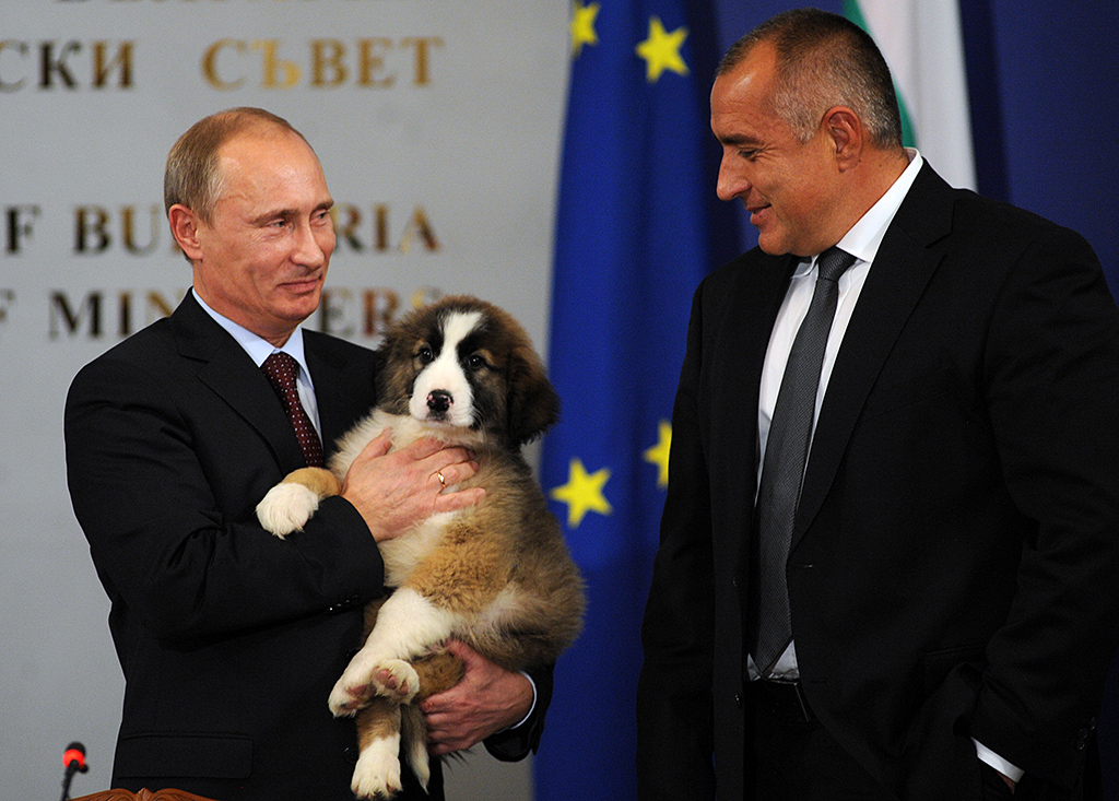 Russian Prime Minister Vladimir Putin holds on November 13, 2010 a Bulgarian shepherd dog he received from his Bulgarian counterpart Boyko Borisov (R) after their press conference in Sofia. Bulgaria's state energy holding BEH and Russian gas giant Gazprom set up on on November 13 a joint venture to build and operate the Bulgarian stretch of the South Stream gas pipeline from Russia to southern Europe. AFP PHOTO / NIKOLAY DOYCHINOV / AFP PHOTO / NIKOLAY DOYCHINOV