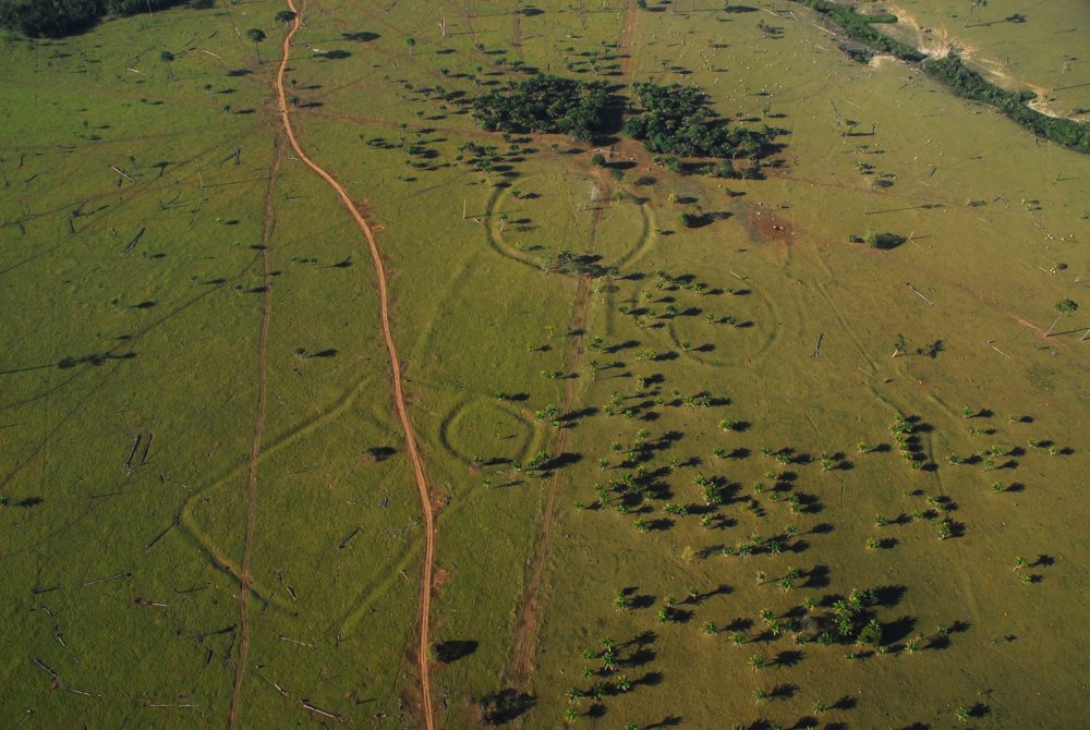 Geoglifák Amazóniában Kép: Edison Caetano