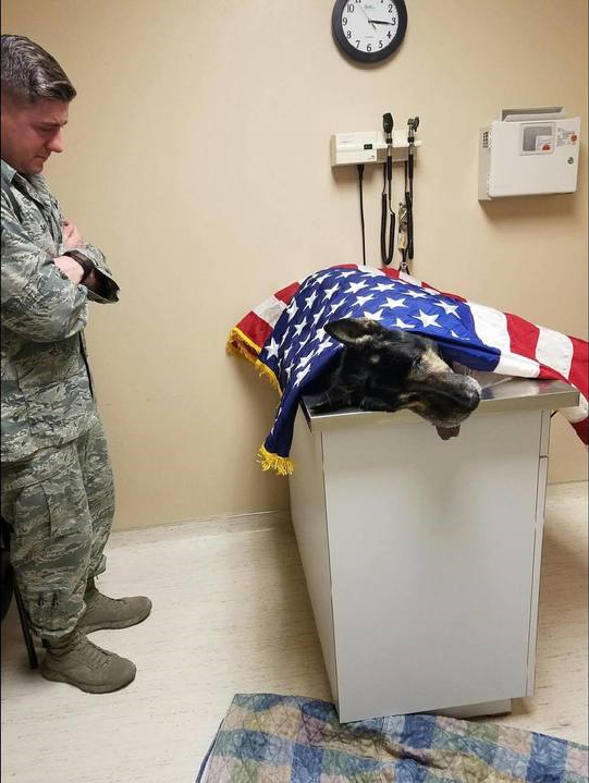 Öleléssel búcsúzott elaltatott K-9-es kutyájától az amerikai légierő őrmestere 1