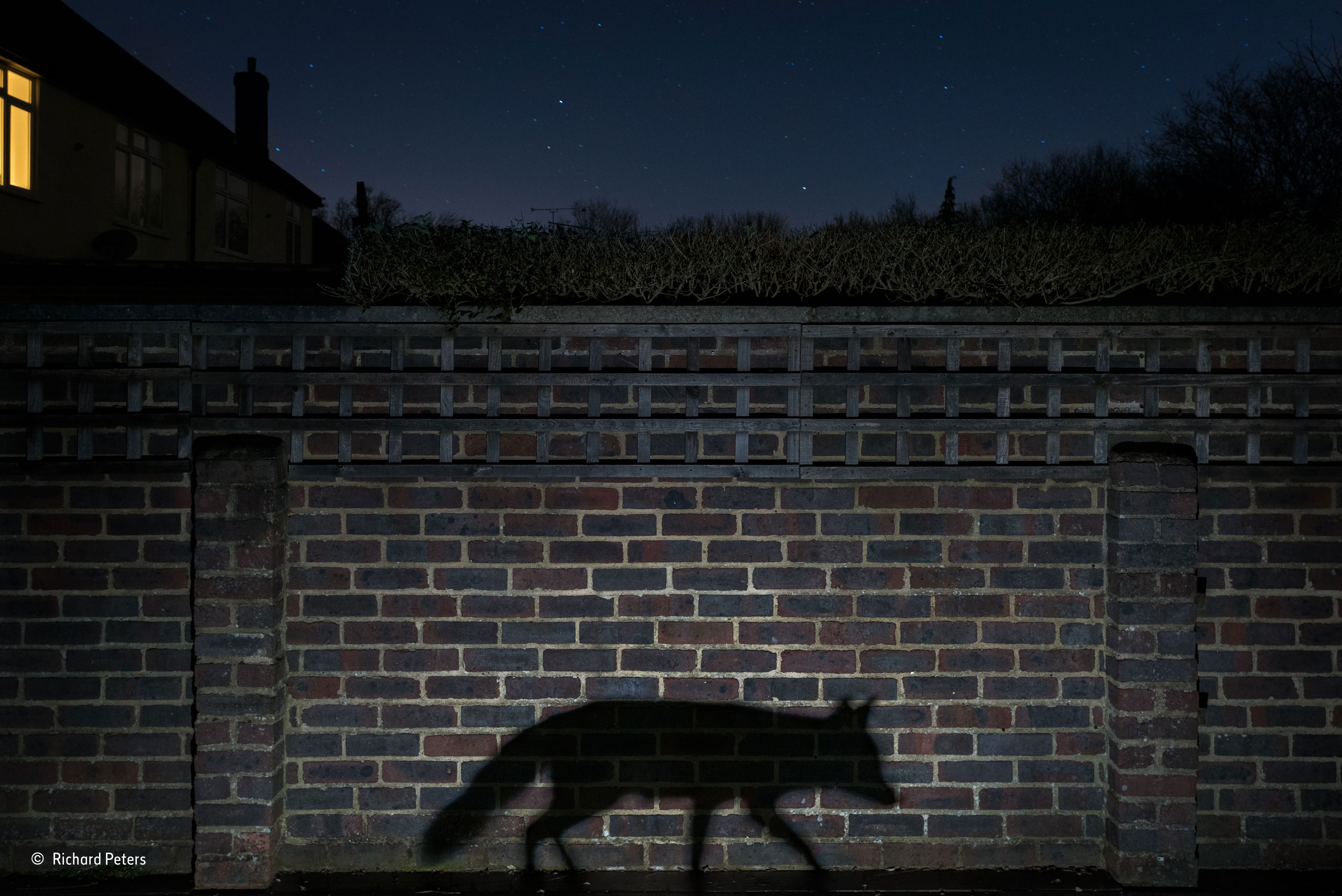 Richard Peters (UK) – Shadow walker / Urban / Wildlife Photographer of the Year 2015 