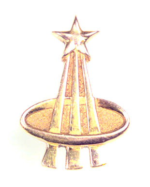 nasa-astronaut-gold-lapel-pin