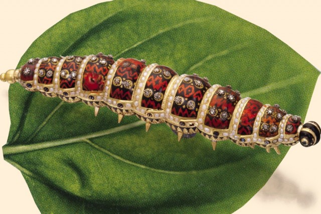 The_Ethiopian_Caterpillar-640x427