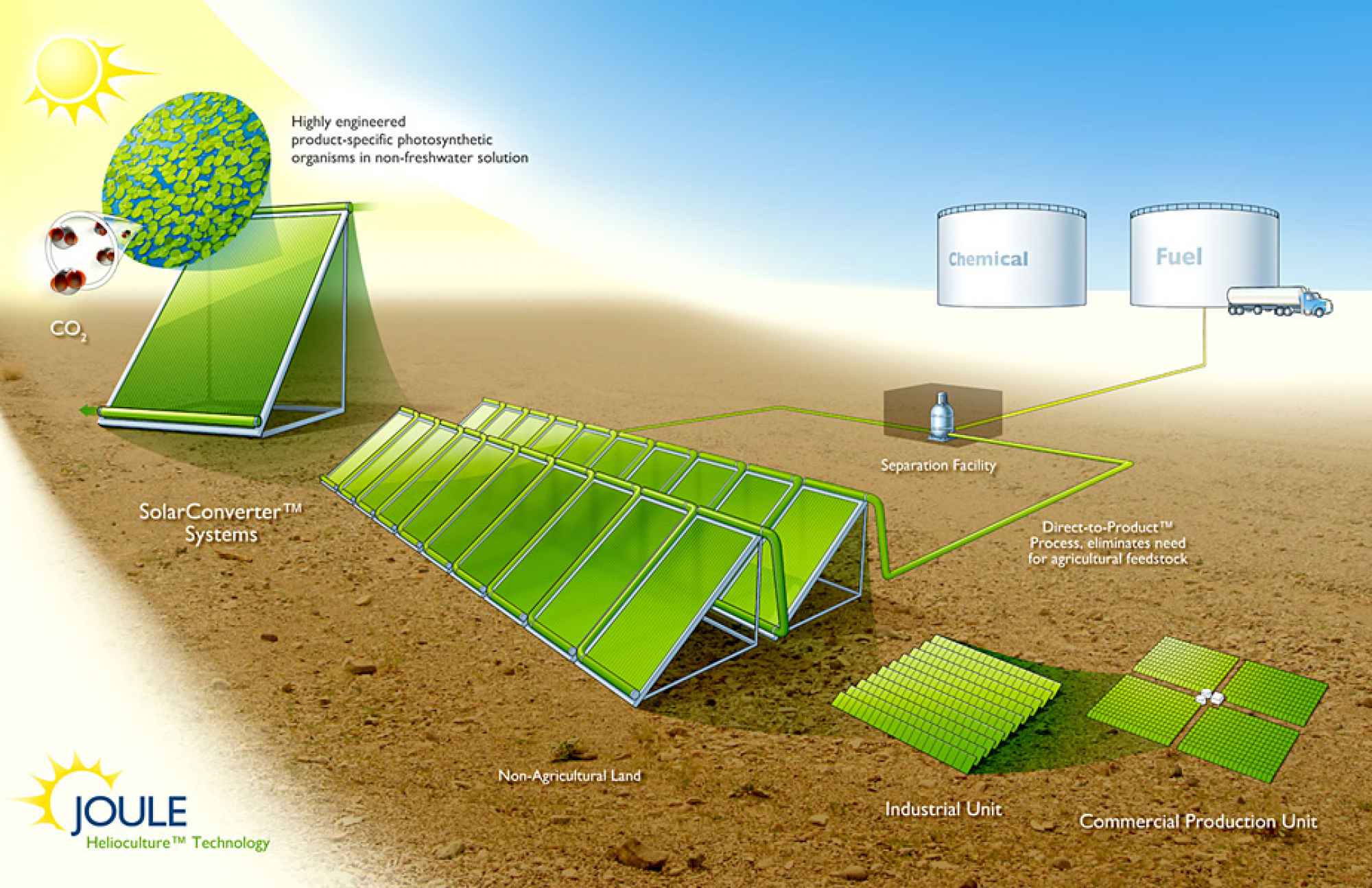 Газ из водорослей. Биотопливо солнечной энергии. Альтернативные источники энергии биотопливо. Биотопливо из водорослей. Энергия из водорослей.