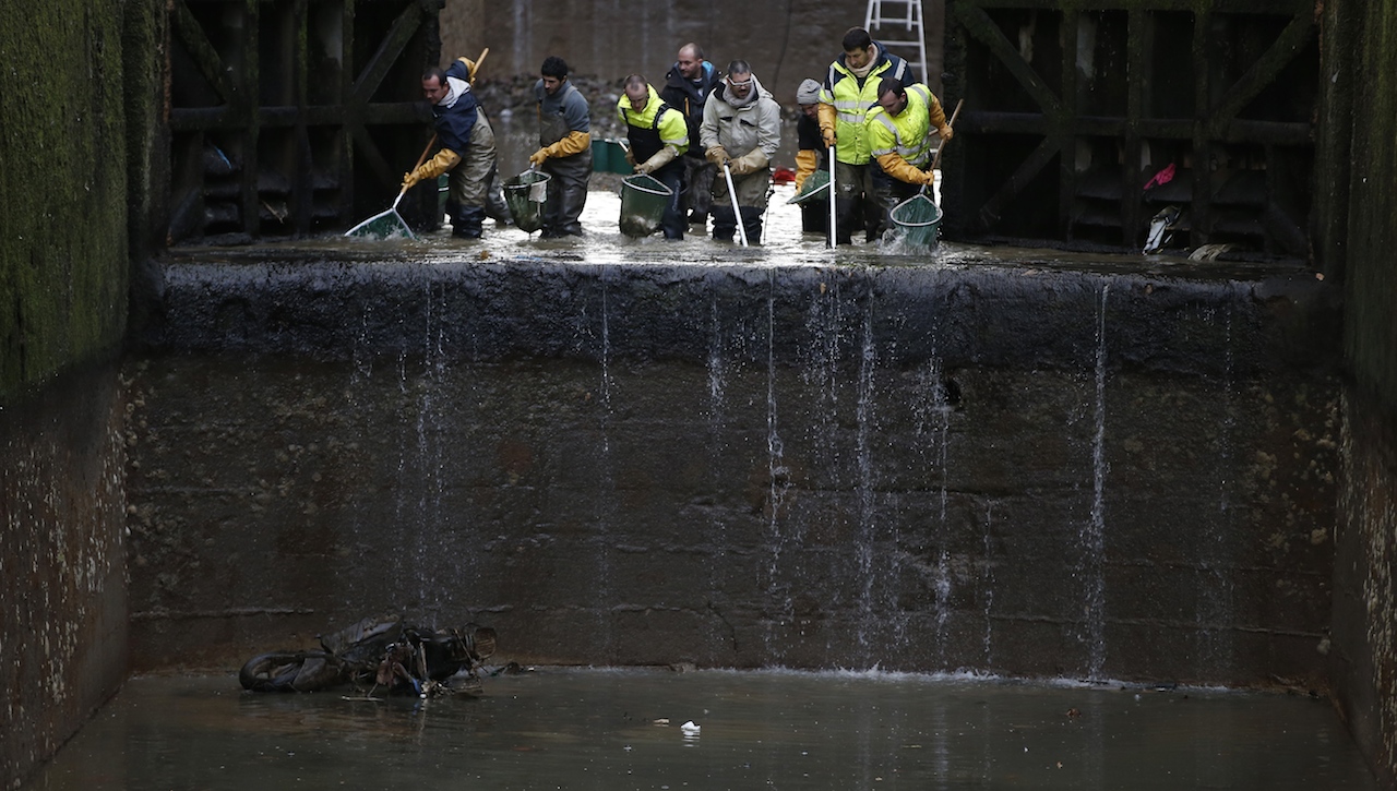 Workers remove fish from the canal Saint Martin in Paris on January 6, 2016 before a drainage and cleaning operation. / AFP / PATRICK KOVARIK