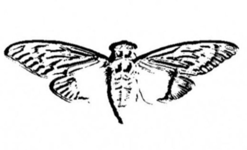 A Cicada 3301 azóta elhíresült logója.