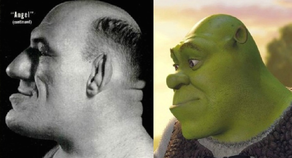 Maurice and Shrek Profile