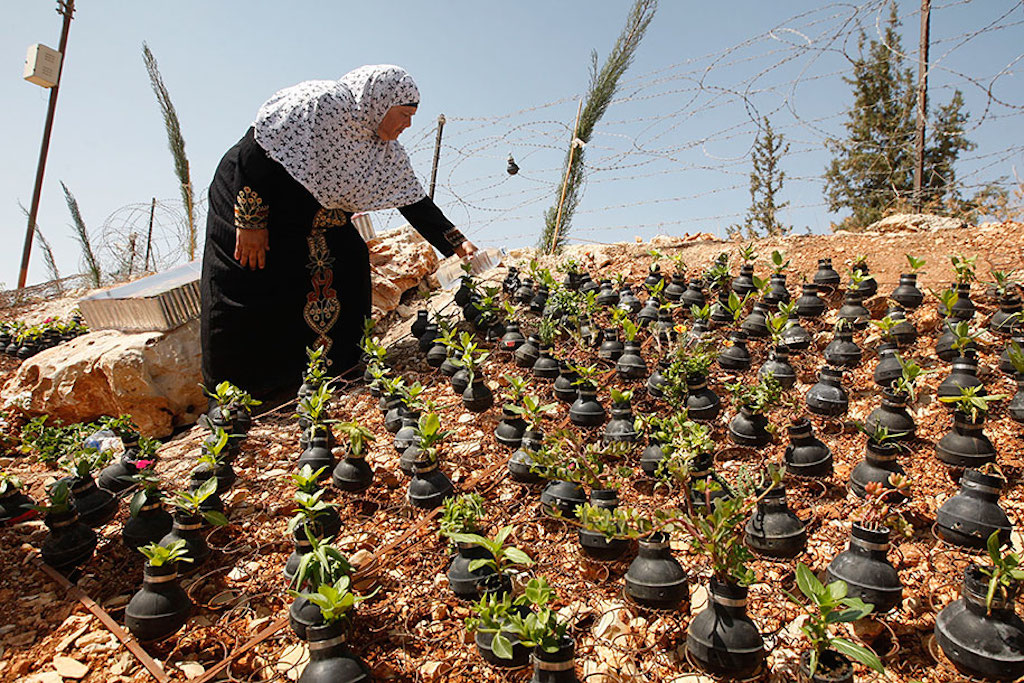 tear-gas-grenade-flower-pots-palestine-10
