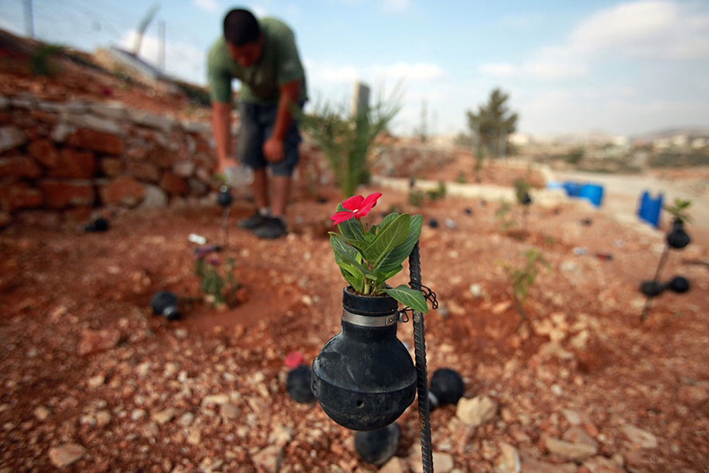 tear-gas-grenade-flower-pots-palestine-4