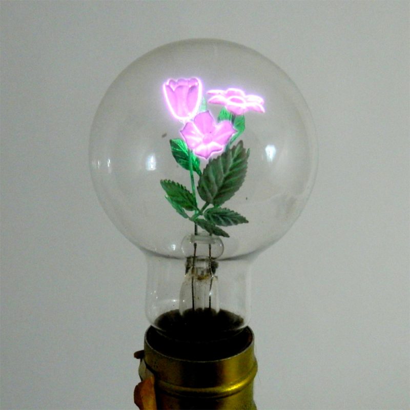 aerolux-light-rose-light-bulb-4