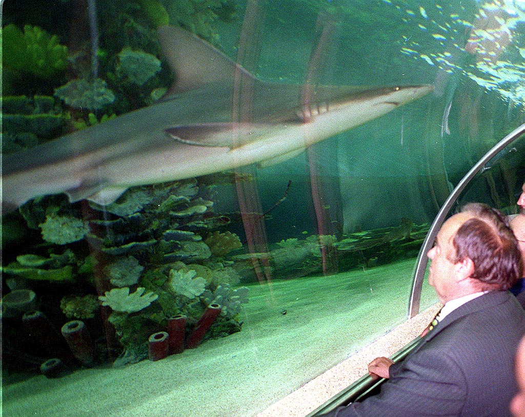 Budapest, 2000. május 25. Torgyán József földművelésügyi és vidékfejlesztési miniszter a cápák akváriumánál a most átadott Tropicariumban a Campona bevásárlóközpontban. MTI Fotó: Czimbal Gyula