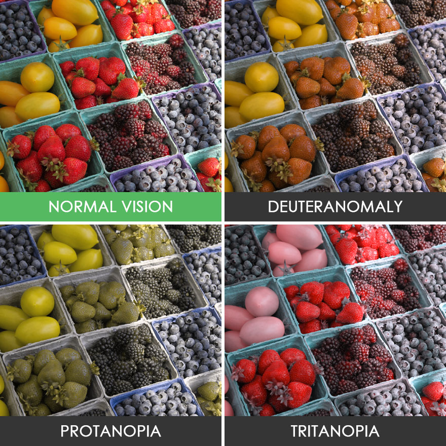 different-types-color-blindness-photos-29