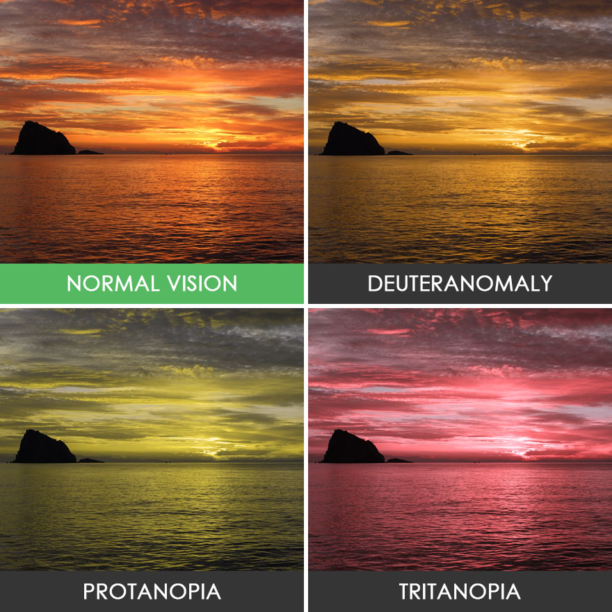 different-types-color-blindness-photos-40