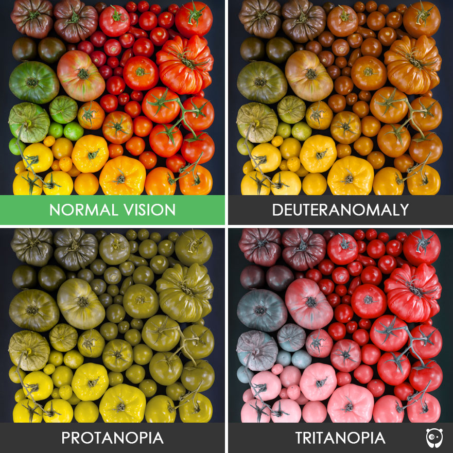 different-types-color-blindness-photos-76