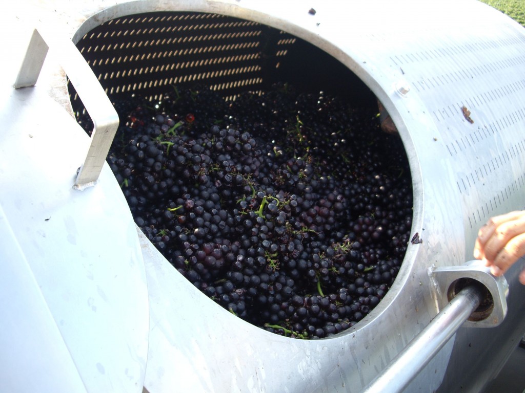 korszerű pneumatikus szőlőprés. forrás: wikipedia