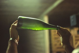 Finomseprőn élelődő pezsgő. Forrás: wikipedia