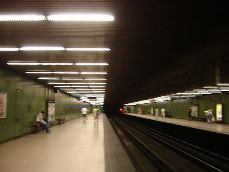 metronepligetflickr.jpg