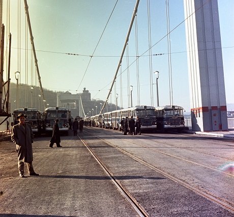Budapesti buszok az új Erzsébet híd próbaterhelésén 1964-ben