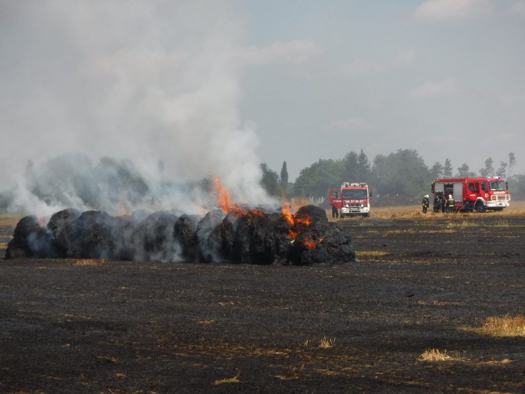 Fotó: Kaposvár HTP